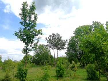Działka budowlana Łaziska