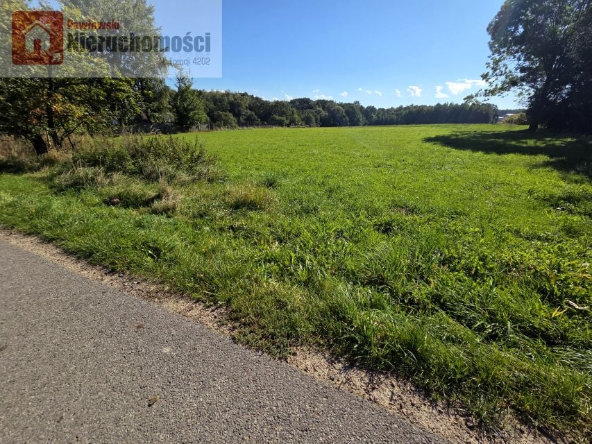 Działka Krzęcin