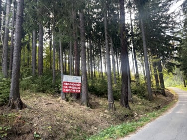 Zalesiona działka Karpacz