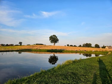 Działka rekreacyjna Kozie Laski