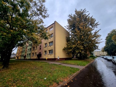 Mieszkanie Zabrze