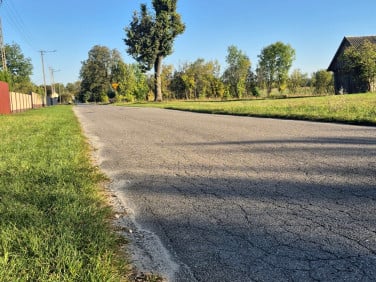 Działka Celiny
