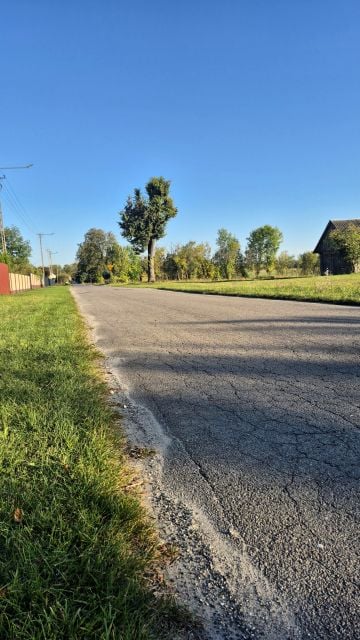 Działka Celiny