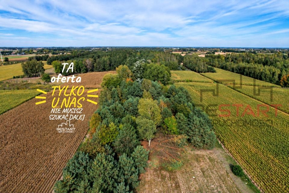 Działka Dachowa