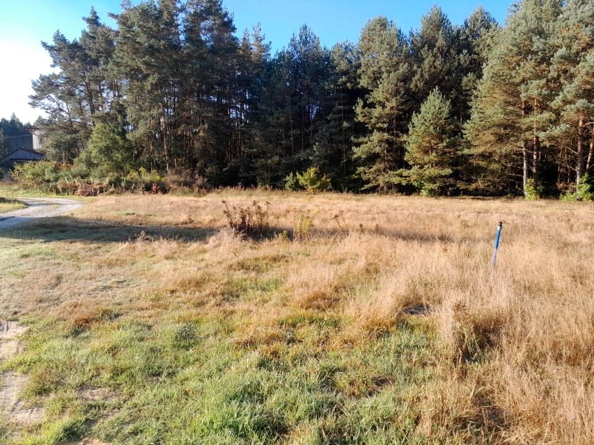 Działka budowlana Niwy
