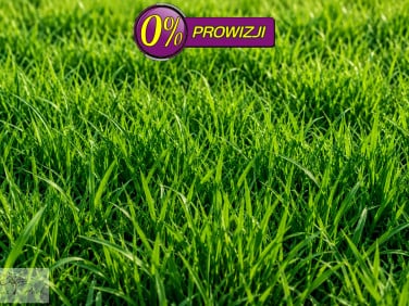 Pusta działka Wincentów