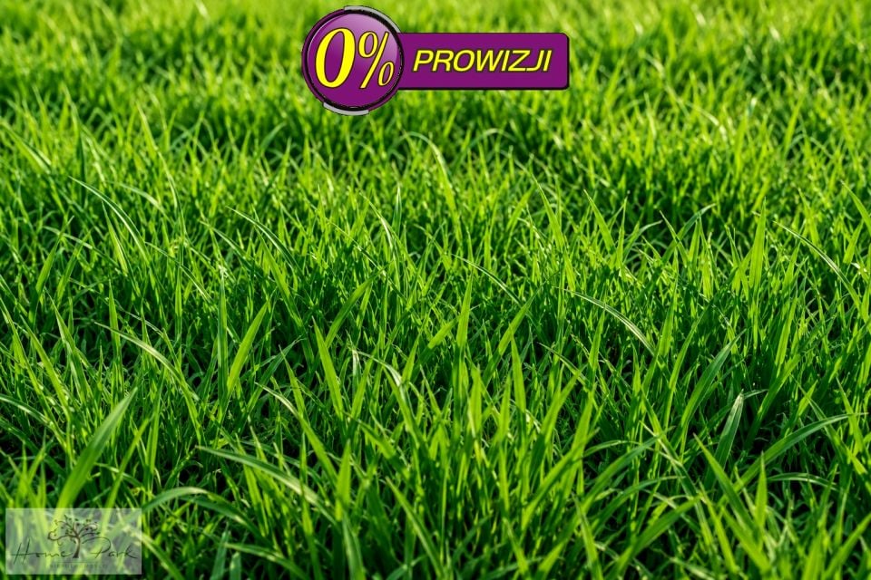Pusta działka Wincentów