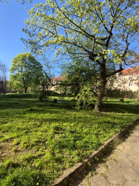 Mieszkanie Gliwice sprzedaż