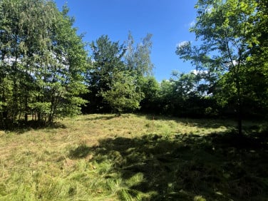 Działka budowlana Sierakowice sprzedam