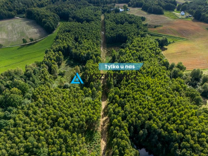 Działka rolna Jeleńcz