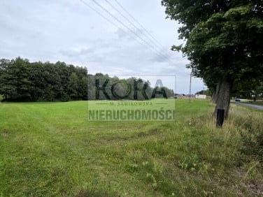 Działka Sokołowo