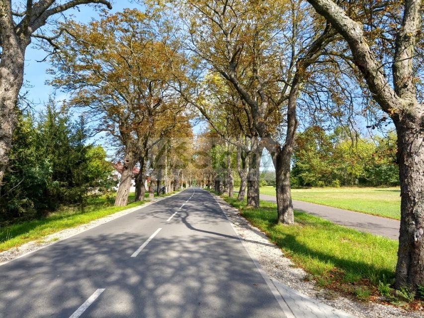 Działka Zaręby
