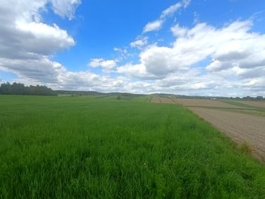 Działka rolna Cholerzyn