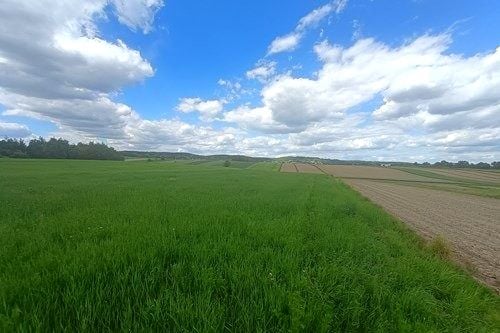 Działka rolna Cholerzyn