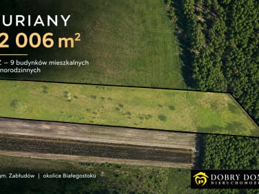 Działka budowlana Kuriany