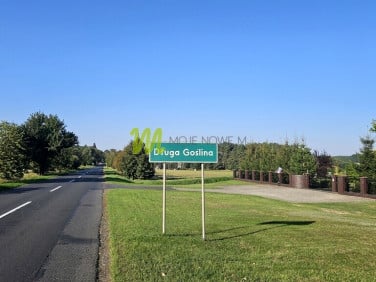 Działka przy lesie