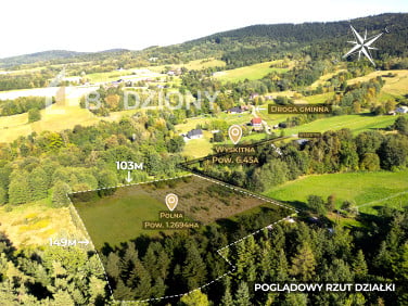 Działka Polna