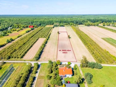 Działka budowlana Stare Orzechowo