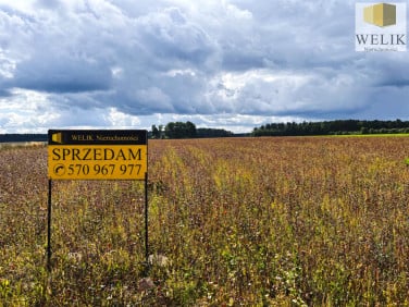 Działka Woroniec