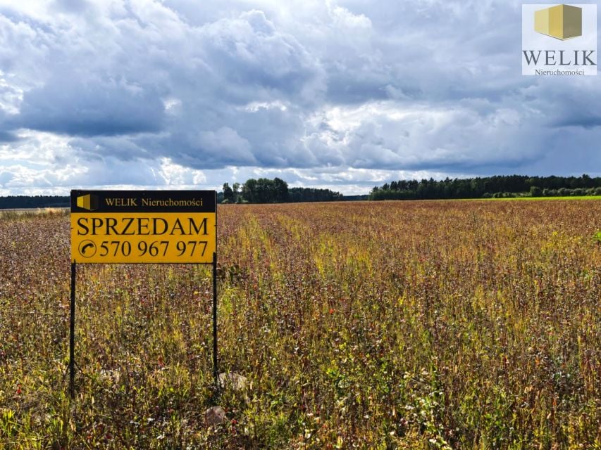 Działka Woroniec
