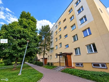 Mieszkanie Kielce