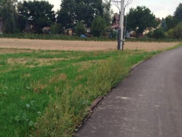Działka siedliskowa Wola Piasecka sprzedam