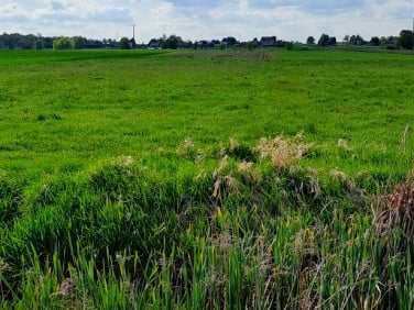 Działka Opatów