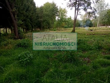 Działka budowlana Kozerki