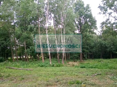 Działka Kozerki