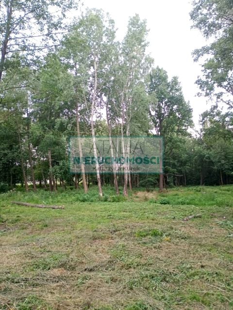 Działka Kozerki