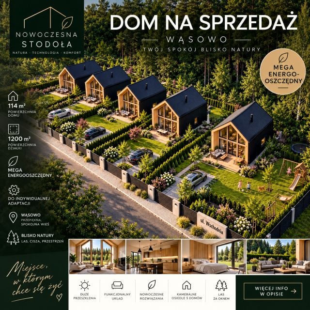 Dom Wąsowo
