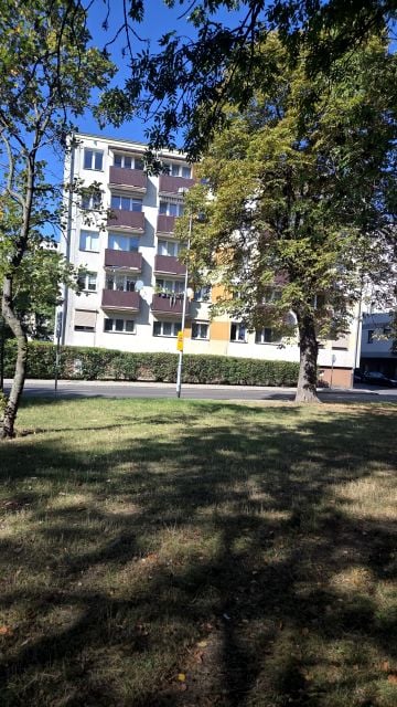 Mieszkanie Słubice