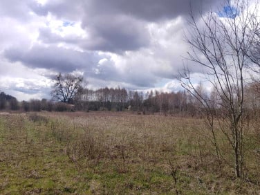 Działka budowlano-rolna Baciuty