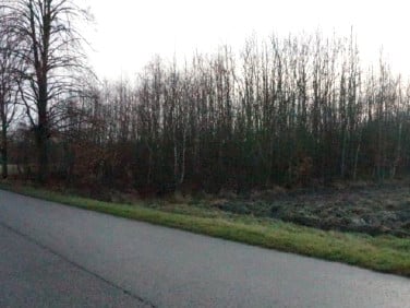 Działka rolna Grabostów