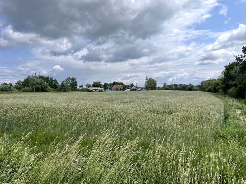 Działka budowlana Niedary