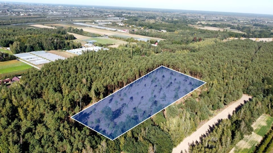 Działka leśna Wilczkowice Dolne