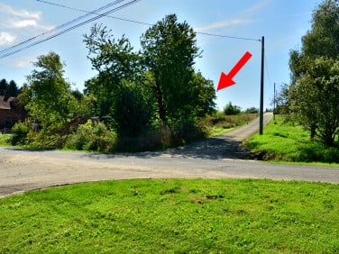 Działka budowlana Pietrzejowice