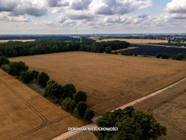 Działka budowlana Gronówko