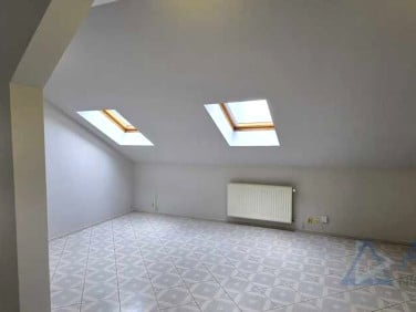 Lokal Szczecin wynajem