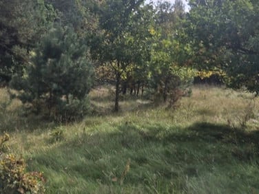 Działka budowlana Trzebów