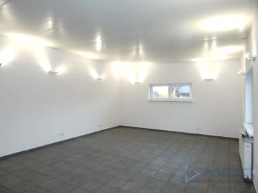 Lokal Szczecin