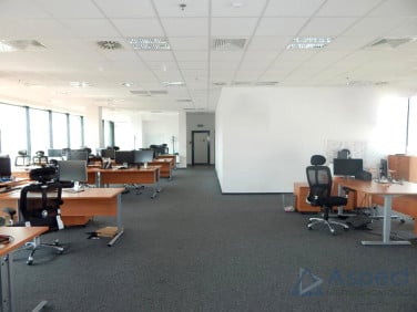 Lokal Szczecin