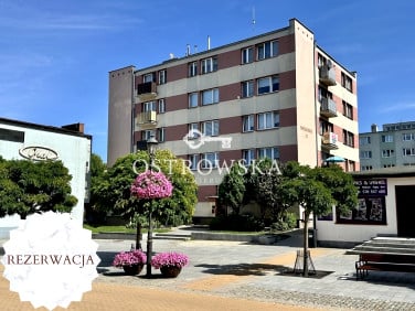 Mieszkanie Ciechanów