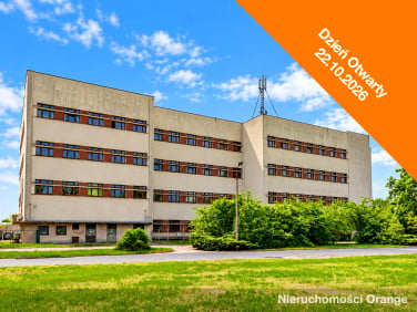 Lokal Opole