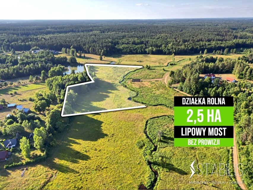 Działka przy lesie