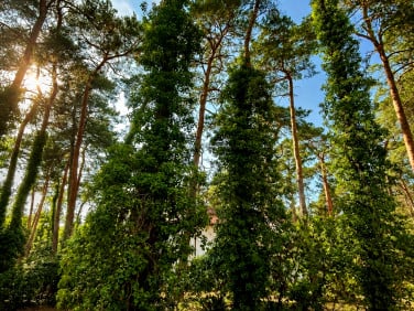 Działka budowlana Konstancin-Jeziorna
