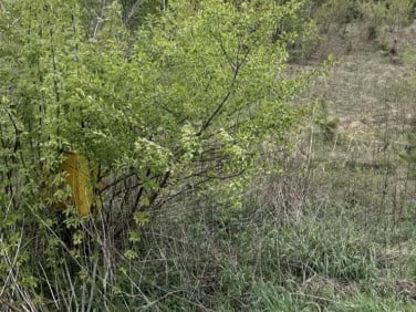 Działka budowlana Olszewnica Nowa