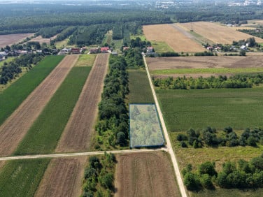 Działka Chorzenice