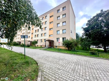 Mieszkanie Kielce wynajem