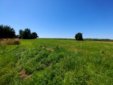Działka budowlana Iłownica